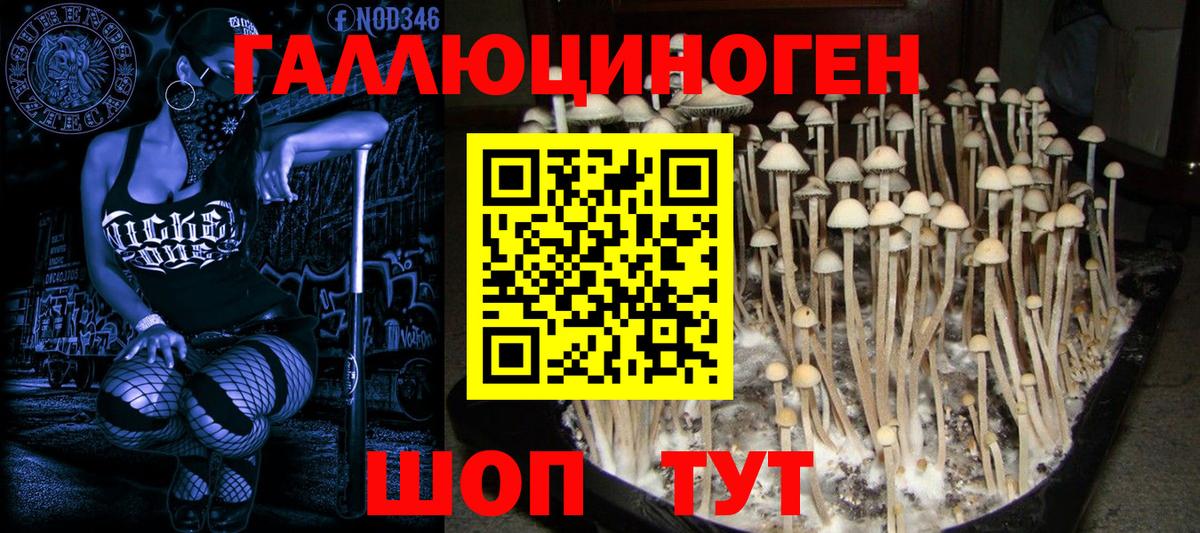 Пугачёв  Галлюциногенные грибы мухоморы  Вход с VPN 
