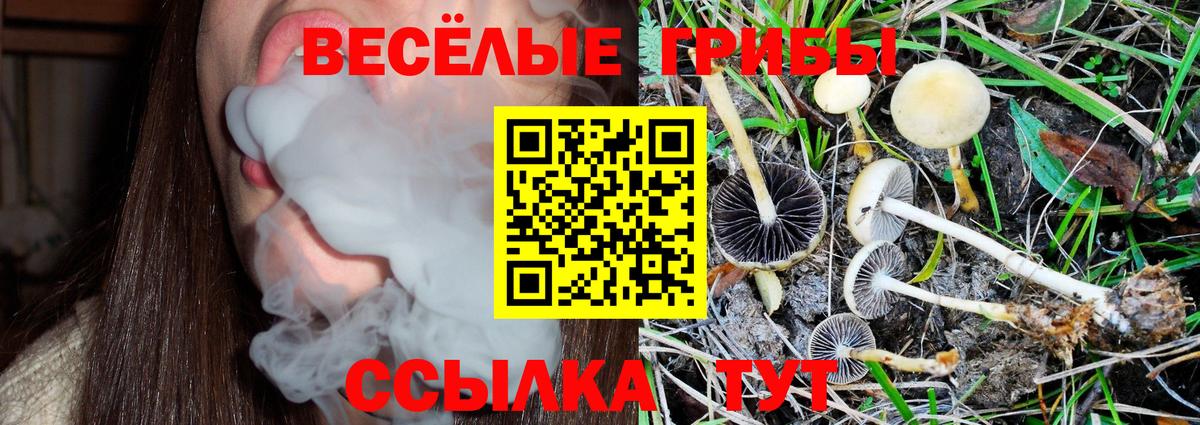 Галлюциногенные грибы ЛСД Пугачёв